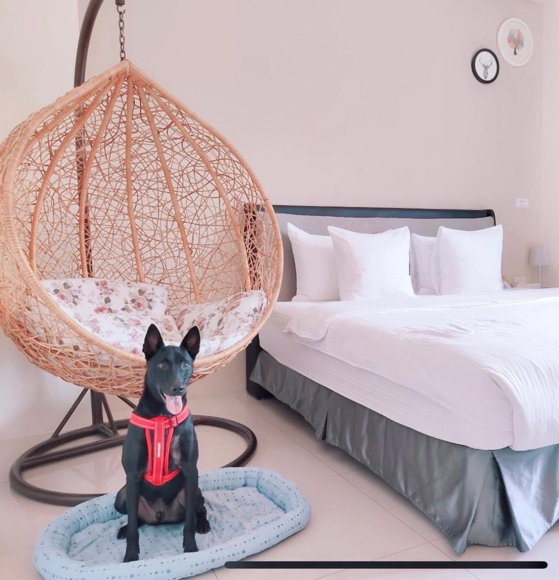 Happy Fat B&B 寵物友善 T'ai-tung Esterno foto
